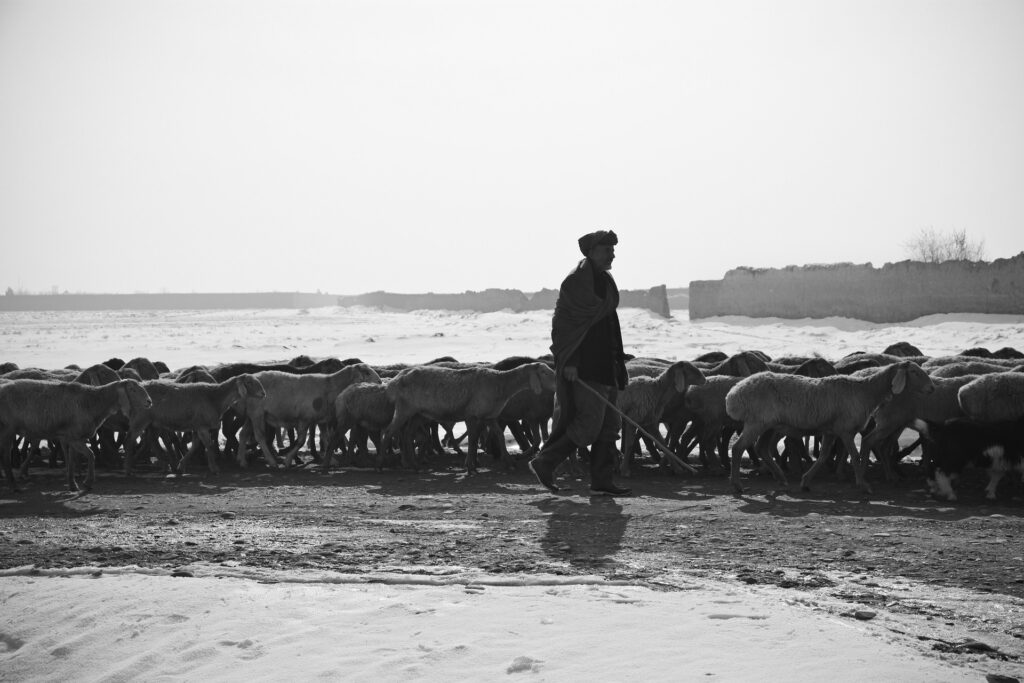 Pastoral care